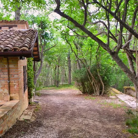 Chalet Nel Bosco בקתה סארנאנו