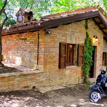 Chalet Nel Bosco Sarnano
