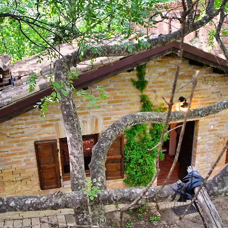 Chalet Nel Bosco בקתה *