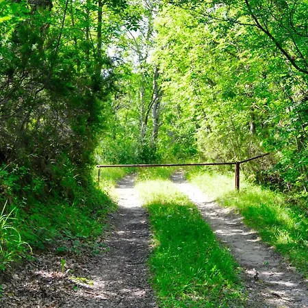 בקתה Chalet Nel Bosco סארנאנו