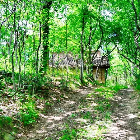 Chalet Nel Bosco