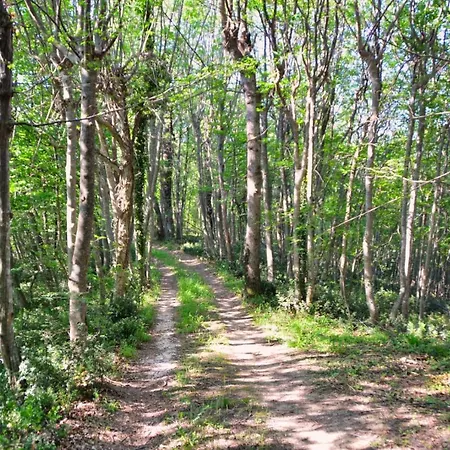 Chalet Nel Bosco בקתה *