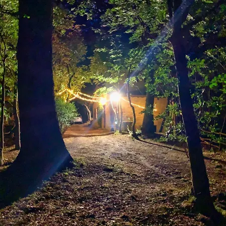 Chalet Nel Bosco בקתה *