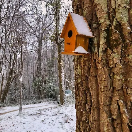 Chalet Nel Bosco *